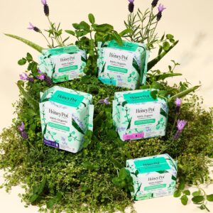 Honey Pot- Herbal Infused Pads/Liners